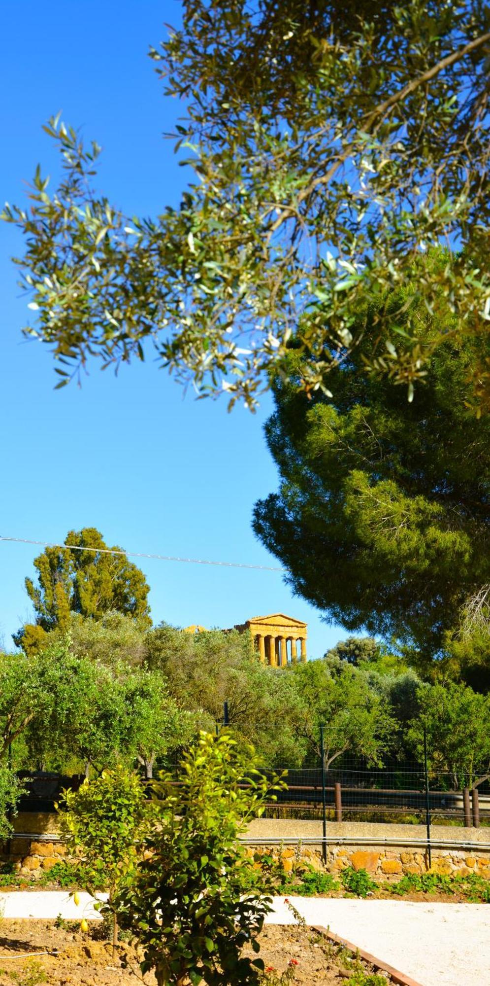 Bed and Breakfast Il Giardino Del Tempio Agrigento Esterno foto